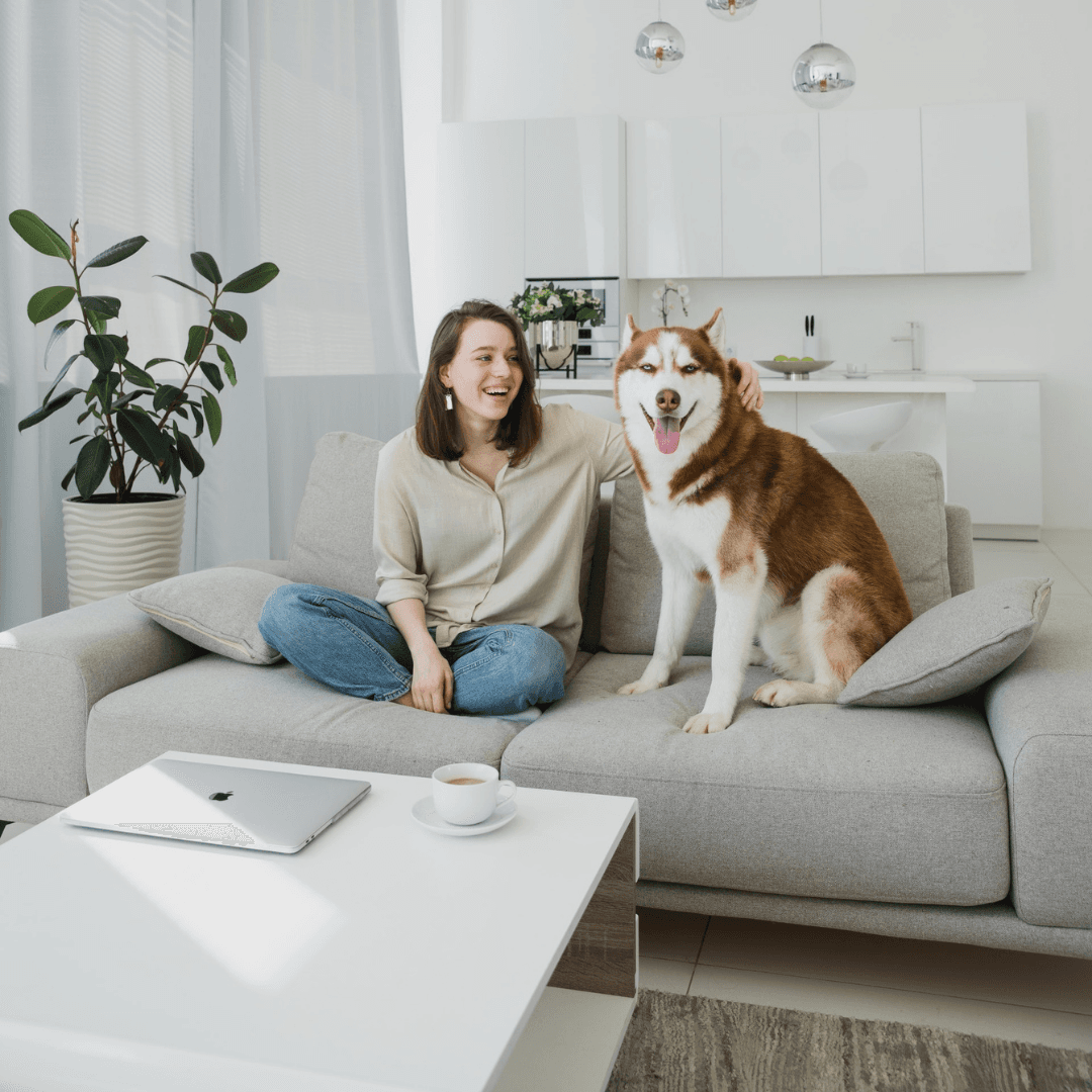 10 best practices for remote workers to have a clean space with pets?