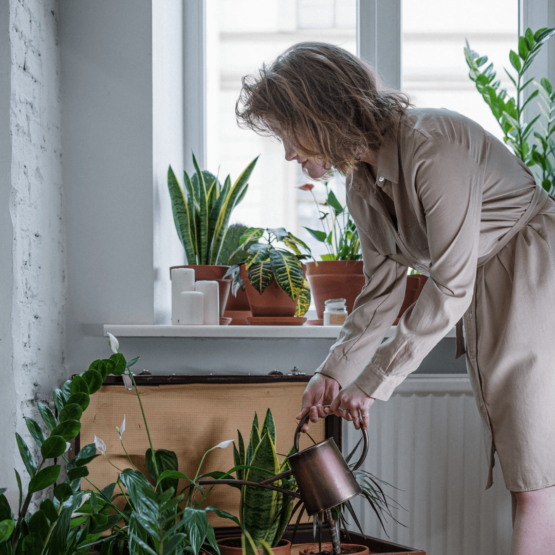 How to make your home smell fresh in the summer?